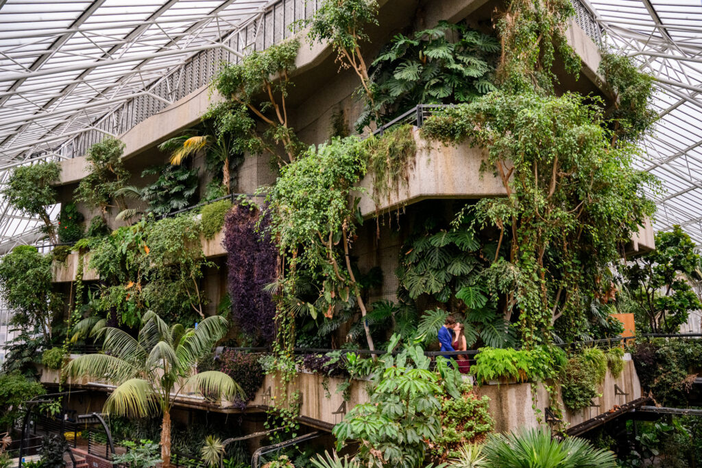 Wedding couple kissing inside The Barbican Conservatory