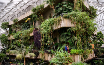 Barbican Wedding Photographer: A Unique London Conservatory Wedding